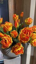 Brynxz - Tulipes - Forêt - orange