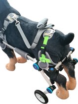 Honden rolstoel, Dogs wheelchair, rolstoel voor honden, harnas, hond halsband, hondbrace, revalidatie hond wandelen,disabled dog wheelchair,hond harnas, handicap hond rolstoel,hond brace,hond ,hond ondersteuning, hond loophulp,rolstoel maat XS.