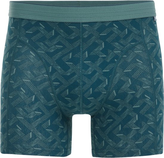 WE Fashion Heren boxershort met dessin