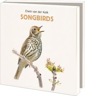 Notecards 10 stuks met envelop songbirds - kolk 15x15cm