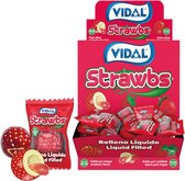 VIDAL DISPLAY STRAWBS STRAW. GUM 4,5G 200 STUKS