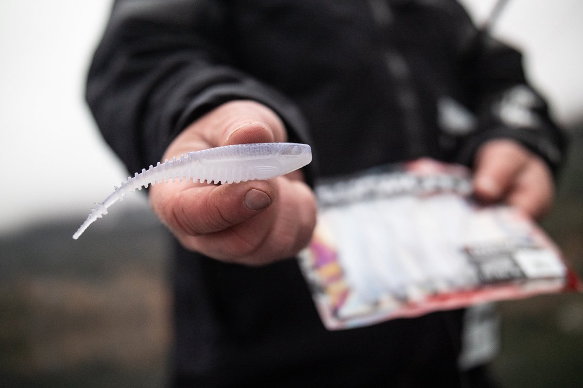 Rapala CrushCity Freeloader | 10.5cm Albino Shad 10.5cm