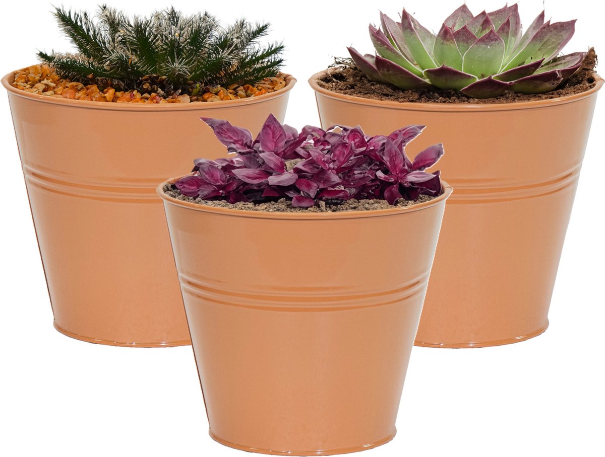 Goedkoopste Mega Collections plantenpot/bloempot Bob - 3x - zink - terra - D11 X H10 cm