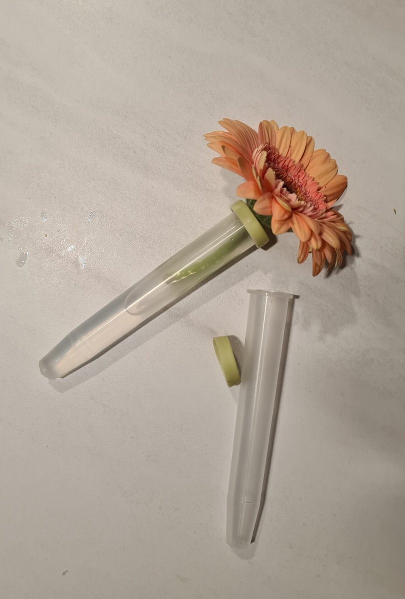 Ferrarium.nl bloemflesjes met dop 25 stuks 24cc - bloembuisjes met dop - Arrangementkokers