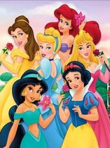 Diamond painting Disney princessen 30x40 ronde steentjes
