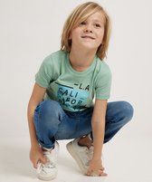 TerStal Jongens / Kinderen Europe Kids T-shirt Met Fotoprint Groen In Maat 122/128