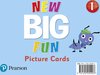Big Fun- New Big Fun - (AE) - 2nd Edition (2019) - Picture Cards - Level 1