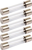 Glaszekeringen 5x20mm F(snel) - 1,6A - Beschermt tegen kortsluiting - 2 stuks