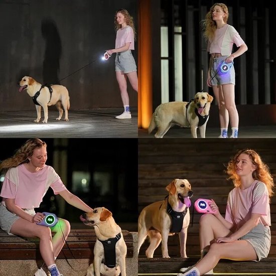BonBonvibes Hondenriem Met Zaklamp - Honden riem met led verlichting en Zaklamp Funtie - Hondenriem voor in het donker - Honden uitlaat riem met Zaklamp verlichting en led verlichting functies - Honden halsband - uitlaat riem voor dieren - baby blauw