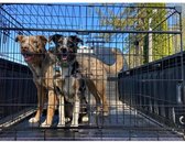LuckyDog Hondenbench XXL Met Verkleiner | Degelijke Kwaliteit | Hondenren 122x76x84cm | 2 Soepele Deuren | Waterproof Bodem | Honden Bench
