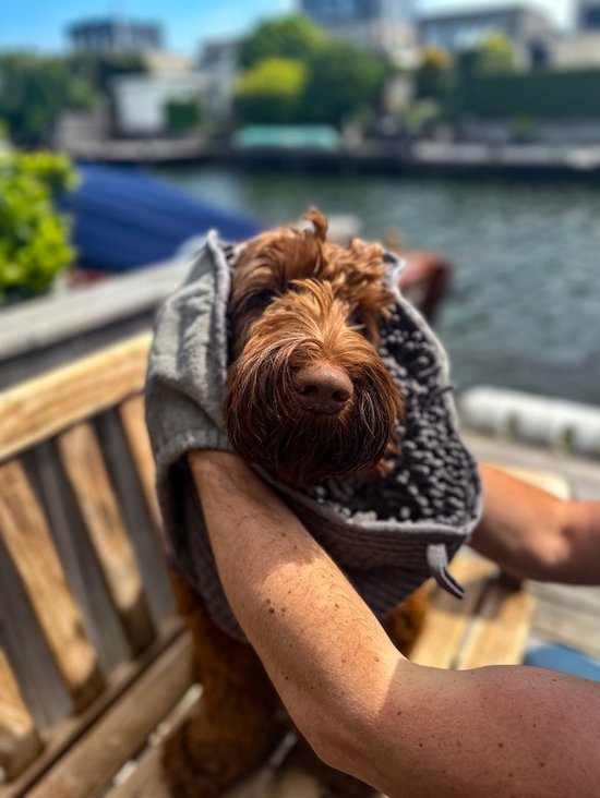 Een bruine hond met een grijze microvezel handdoek om zijn hoofd, gezeten op een houten bankje.