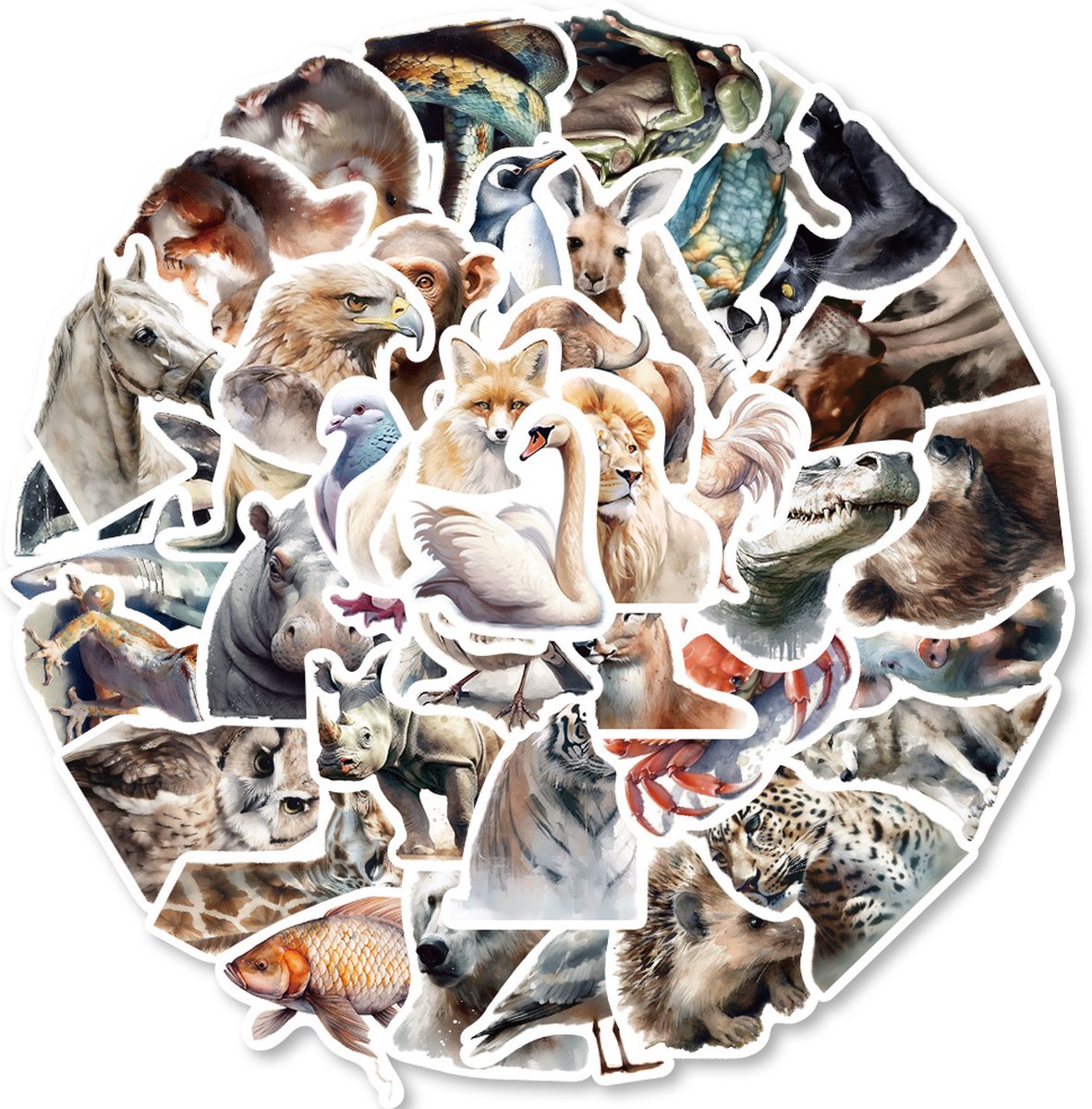 Capybara] Set 50 sticker bé chuột lang siu đáng iu | Việt Nam