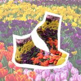 Sock My Tulips / Sock my Feet / 36-38 - tulpen / nederland - naadloos - Moederdag