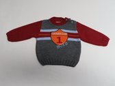 Pull - Garçons - Tricoté - Champion - Gris/rouge - 6 mois 68