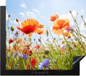 Een inductiebeschermer met een opdruk van klaprozen en korenbloemen in een veld.