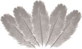 Chaks Plumes d'autruche/plumes décoratives - 5x - gris clair - 20-25 cm - matériel de décoration/loisirs