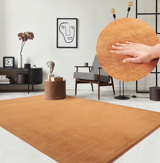 Vloerkleed voor woonkamer of slaapkamer in terracotta-bruin 160x220 cm | Modern en zacht kortpolig tapijt | Rechthoek | Antislip onderkant | Wasbaar tot 30 Graden | Rug for bedroom or living room | RELAX kleed by The Carpet