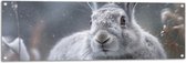 Tuinposter – Konijn - Grijs - Wit - Sneeuw - 120x40 cm Foto op Tuinposter (wanddecoratie voor buiten en binnen)