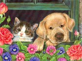 Diamond painting compleet pakket 50x40 (43.5 x 32.5cm) Hi Stone: Kitten met puppy