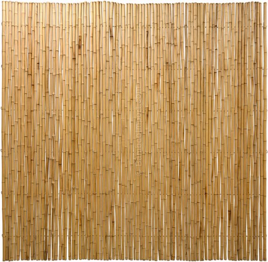 Rietmat Premium 180 x 600 cm | Gratis verzending