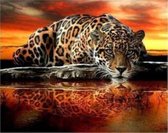 Diamond painting – luipaard aan het water – 50x40 cm – vierkante stenen