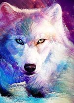 Full Diamond Painting Volwassenen - Ronde Steentjes - Volledig Pakket - Hobby - Dieren - Witte wolf met paarse achtergrond 50x65 cm