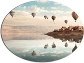 Dibond Ovaal - Water - Bergen - Luchtballonnen - Huisjes - 68x51 cm Foto op Ovaal (Met Ophangsysteem)