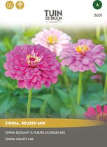 Graines Jardin de Bruijn® - Zinnia Californian Giants mélangées - belles fleurs d'été