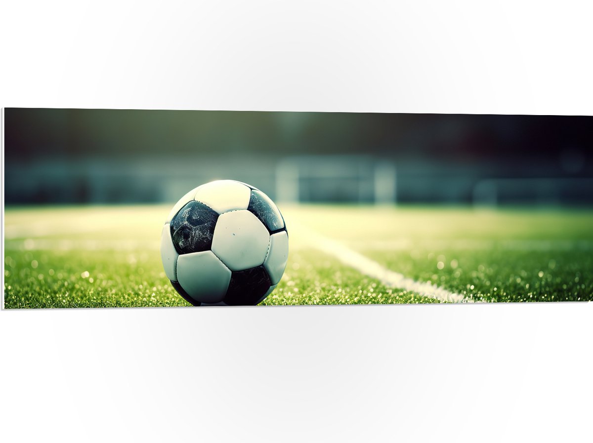PVC Schuimplaat- Veld - Bal - Voetbal - Lijn - 120x40 cm Foto op PVC Schuimplaat