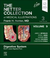 Netter Green Book Collection-The Netter Collection of Medical Illustrations: Digestive System, Volume 9, Part II - Lower Digestive Tract