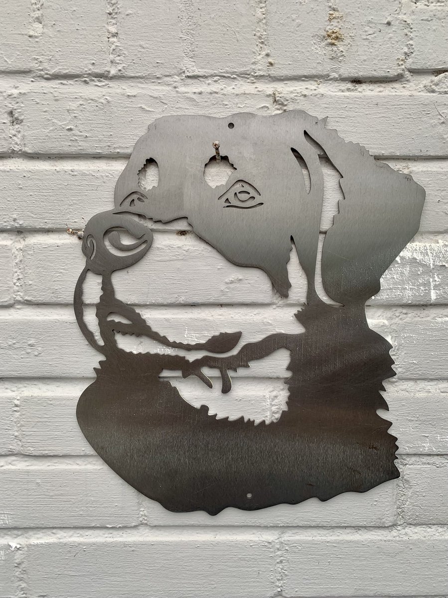 Metalen Hond - De Rotweiler - Wanddecoratie van metaal