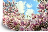 Fotobehang Kleurrijk Bloeiende Magnolia - Vliesbehang - 300 x 210 cm