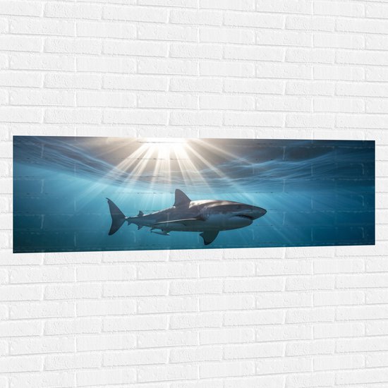 Muursticker - Witte haai zwemt door de zee met zonnestralen - 150x50 cm Foto op Muursticker