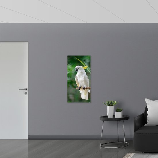 Acrylglas - Witte kaketoe zit op takje met gele kuif - 50x100 cm Foto op Acrylglas (Met Ophangsysteem)
