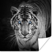 Poster Dieren - Tijger - Zwart wit - Ogen - Blauw - 30x30 cm