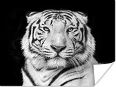Poster Tijger - Zwart - Wit - Portret - Dieren - 80x60 cm