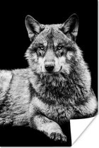 Poster Animaux sauvages - Loup - Zwart - Wit - 40x60 cm
