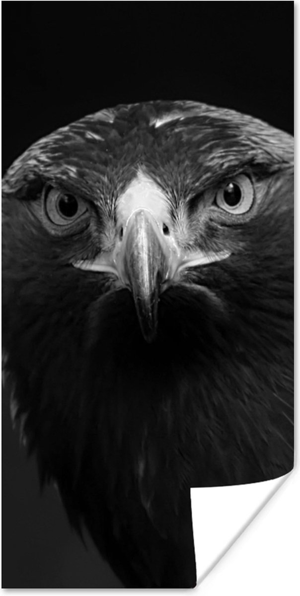 Poster Buizerd - Vogel - Dieren - Zwart - Wit - 80x160 cm