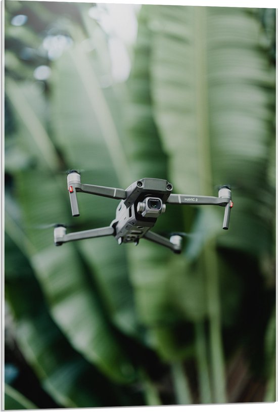 Acrylglas - Drone Vliegend tussen de Groene Palmbladeren - 60x90 cm Foto op Acrylglas (Met Ophangsysteem)