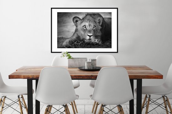 Cadre photo avec affiche - Animaux sauvages - Lion - Nature - Zwart - Wit - 90x60 cm - Cadre pour affiche