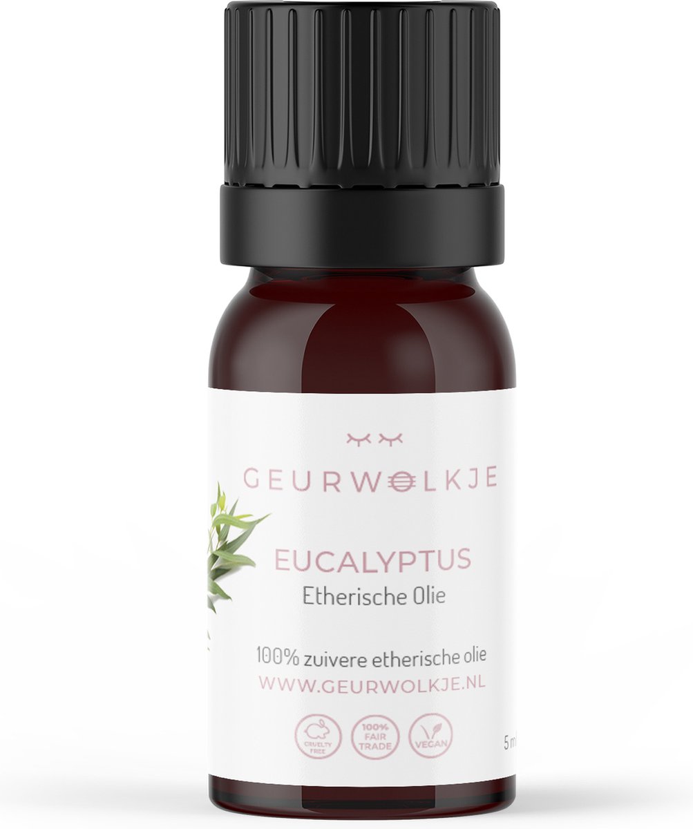 Goedkoopste Eucalyptus 100 Etherische Olie 5 ml