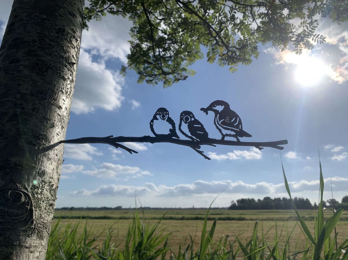 Metalen vogels tuin decoratie - De Mussen - Decoratie vogels