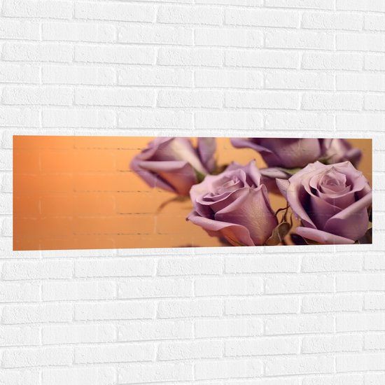 Muursticker - Paarse Rozen bij Oranje Achtergrond - Bloemen - 120x40 cm Foto op Muursticker