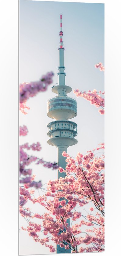 PVC Schuimplaat - Gebouw - Euromast - Bomen - Bloesem - 40x120 cm Foto op PVC Schuimplaat (Met Ophangsysteem)