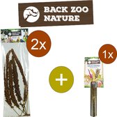 Back Zoo Nature French Millet Sprays Red - Trosgierst - Inclusief houder