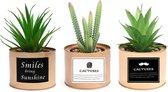Bol.com Belle Vous 3 Pak Mini Artificieel Groene Plastic Planten in Koper Metalen Potten – 10 x 75 cm – Nep Faux Vetplanten Kakt... aanbieding