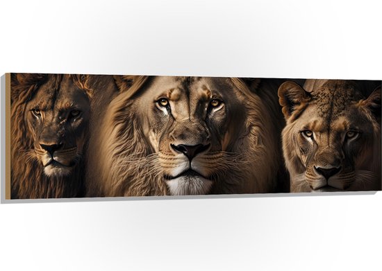Hout - Portretfoto van Drietal Prachtige Leeuwen - 150x50 cm - 9 mm dik - Foto op Hout (Met Ophangsysteem)