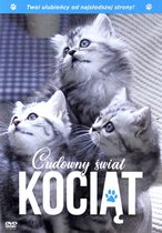 The Secret Life of Kittens [DVD]