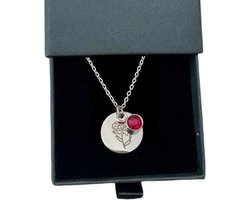 Rosey’s® - Geboortesteenketting januari - Geboortesteenketting - geboortesteen januari - zilver - Geboortesteen met doosje - Geboortesteenketting zilver - Bayshower - Kraamcadeau - Moederdag cadeau - Geboortesteen ketting Januari