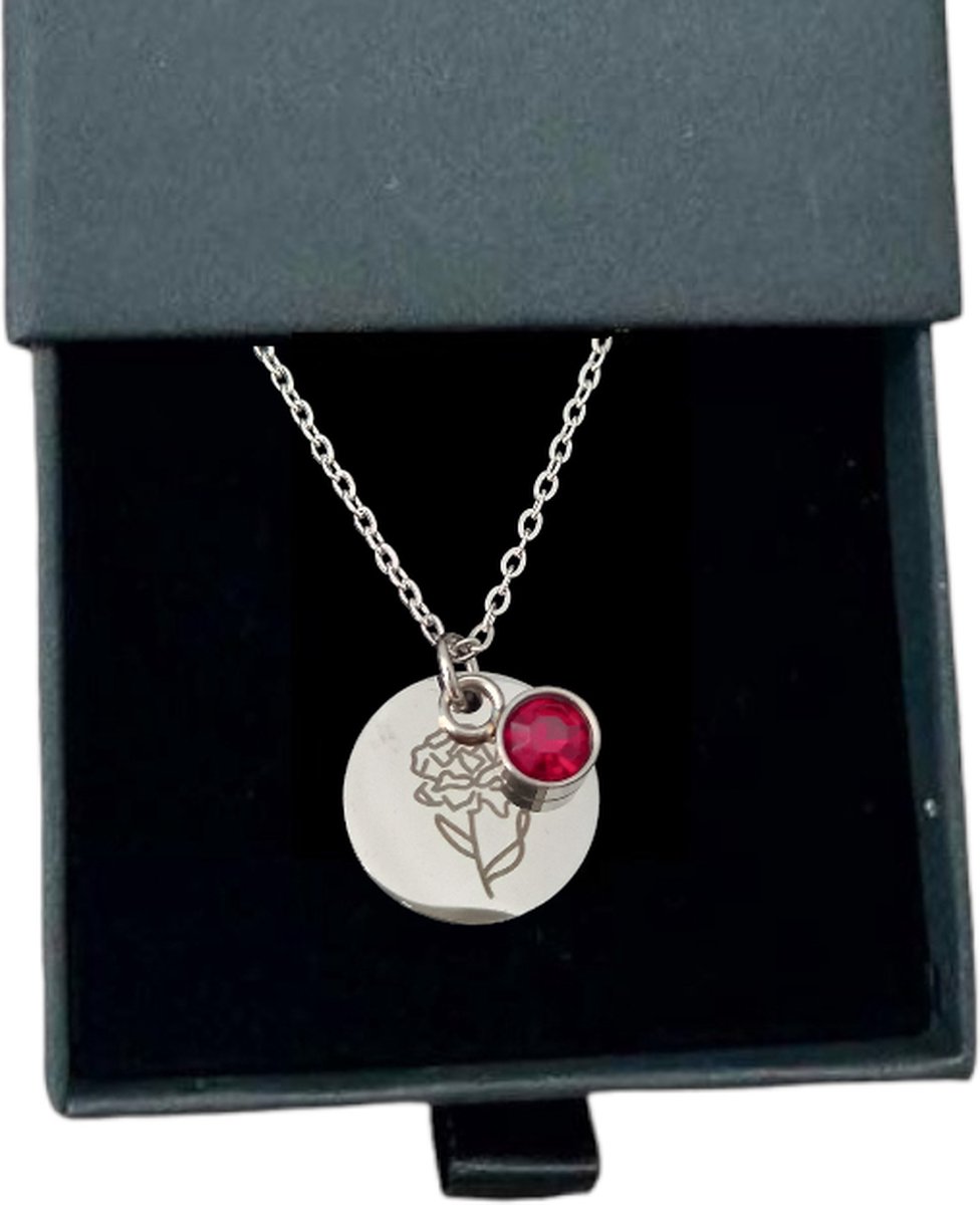 Goedkoopste Rosey’s® - Geboortesteenketting januari - Geboortesteenketting - geboortesteen januari - zilver - Geboortesteen met doosje - Geboortesteenketting zilver - Bayshower - Kraamcadeau - Moederdag cadeau - Geboortesteen ketting Januari